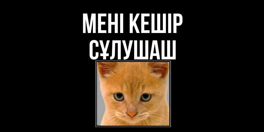 Күн сайын ашық хат с именем, СҰЛУШАШ Мені кешір рыжий грустный кот просит прощения Онлайн тегін жүктеп алу тілектері бар керемет карта 
