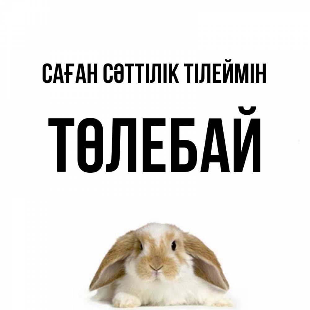 Күн сайын ашық хат с именем, ТӨЛЕБАЙ Саған сәттілік тілеймін открытки с произвольным текстом который можно вставить в открытку и создать ее самостоятельно бесплатно онлайн Онлайн тегін жүктеп алу тілектері бар керемет карта 