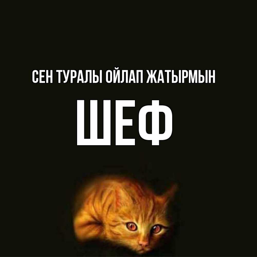 Күн сайын ашық хат с именем, Шеф Сен туралы ойлап жатырмын рыжий Онлайн тегін жүктеп алу тілектері бар керемет карта 