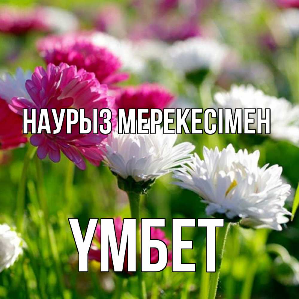 Күн сайын ашық хат с именем, ҮМБЕТ Наурыз мерекесімен праздник весны наурыз красота Онлайн тегін жүктеп алу тілектері бар керемет карта 