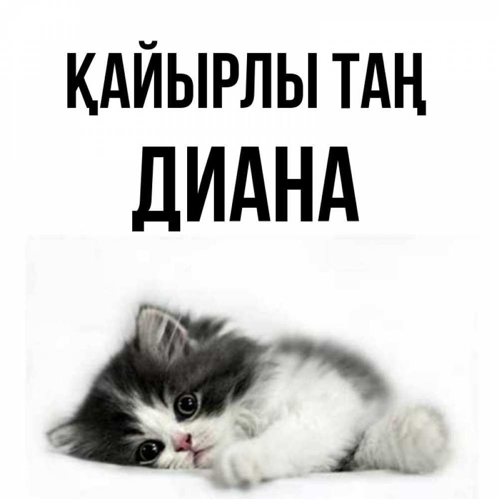 Күн сайын ашық хат с именем, Диана Қайырлы таң кот лапки Онлайн тегін жүктеп алу тілектері бар керемет карта 
