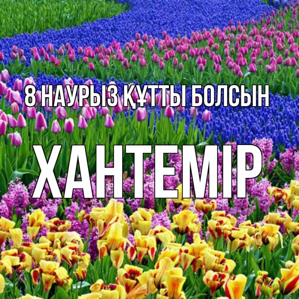 Күн сайын ашық хат с именем, ХАНТЕМІР 8 наурыз құтты болсын цветы Онлайн тегін жүктеп алу тілектері бар керемет карта 