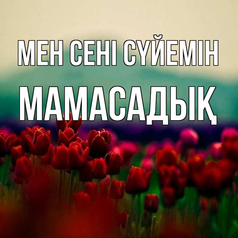 Күн сайын ашық хат с именем, МАМАСАДЫҚ Мен сені сүйемін тюльпаны 4 Онлайн тегін жүктеп алу тілектері бар керемет карта 