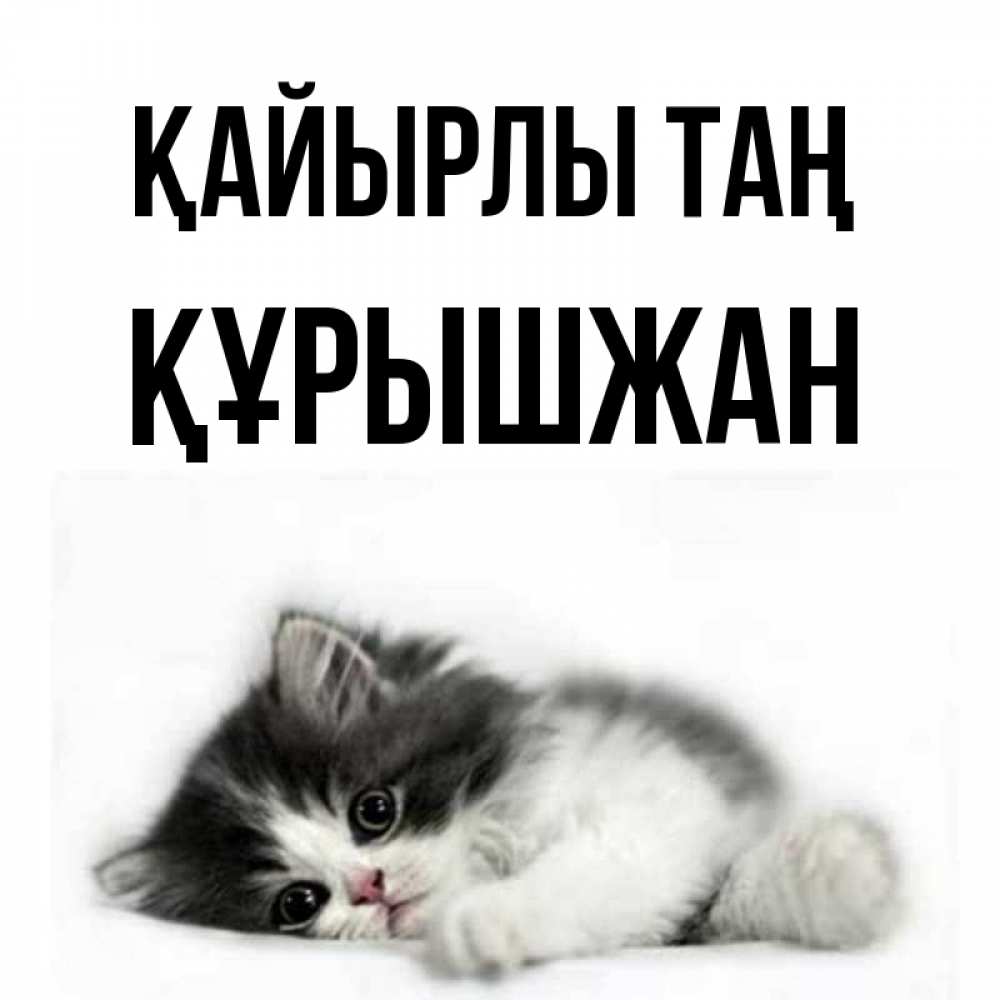 Күн сайын ашық хат с именем, ҚҰРЫШЖАН Қайырлы таң кот лапки Онлайн тегін жүктеп алу тілектері бар керемет карта 
