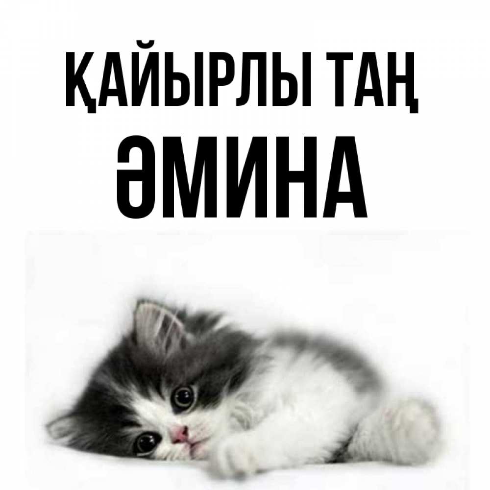 Күн сайын ашық хат с именем, ӘМИНА Қайырлы таң кот лапки Онлайн тегін жүктеп алу тілектері бар керемет карта 