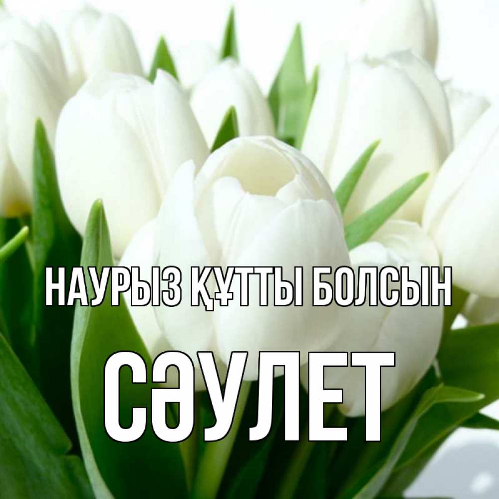 Күн сайын ашық хат с именем, СӘУЛЕТ Наурыз құтты болсын цветы Онлайн тегін жүктеп алу тілектері бар керемет карта 