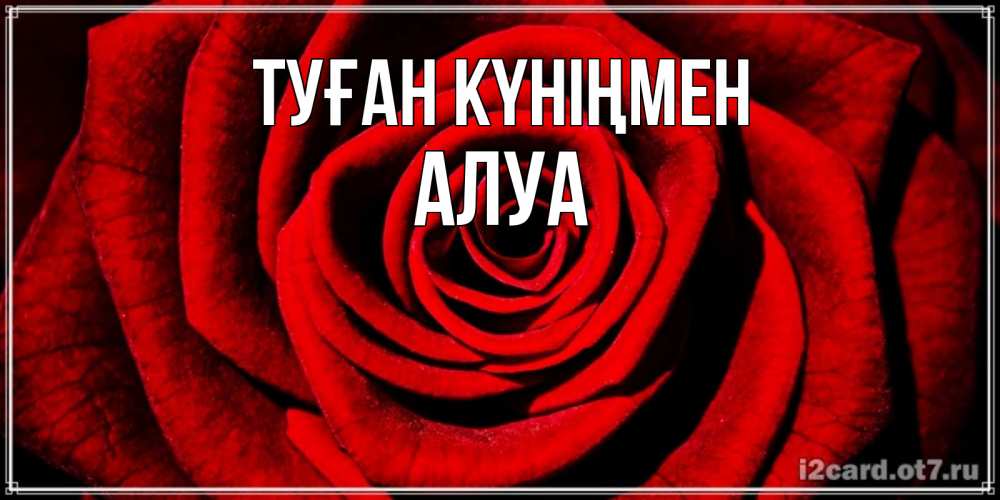 Күн сайын ашық хат с именем, АЛУА Туған күніңмен алая роза Онлайн тегін жүктеп алу тілектері бар керемет карта 