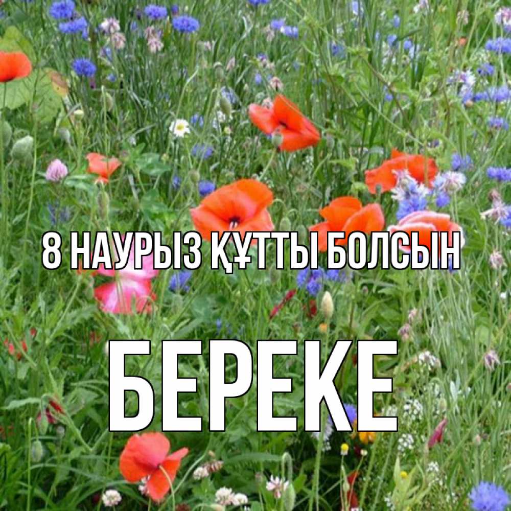 Күн сайын ашық хат с именем, Береке 8 наурыз құтты болсын международный женский день 4 Онлайн тегін жүктеп алу тілектері бар керемет карта 
