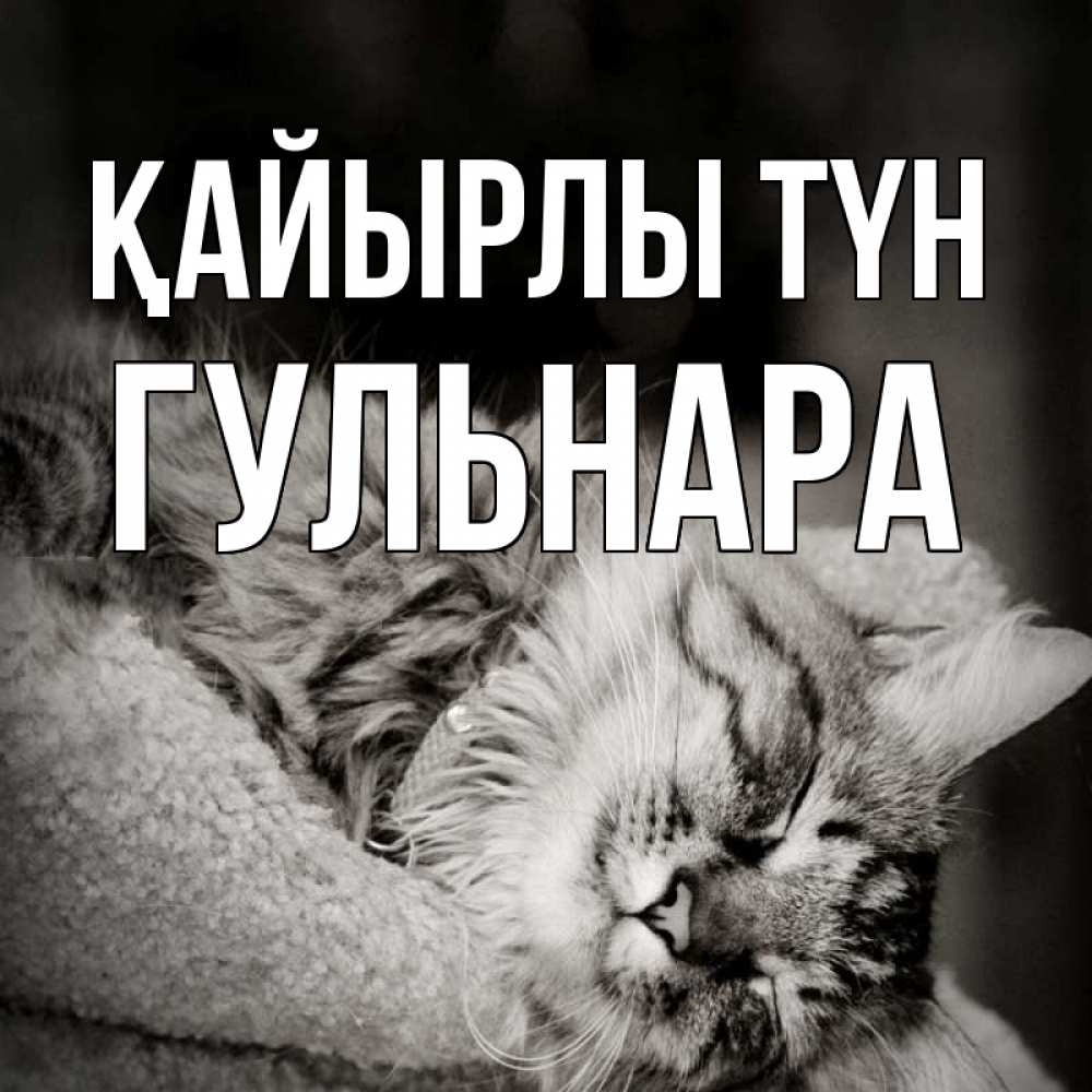 Күн сайын ашық хат с именем, Гульнара Қайырлы түн котярик пушистый Онлайн тегін жүктеп алу тілектері бар керемет карта 