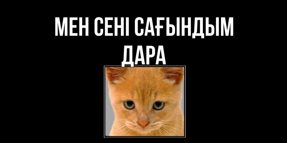 Күн сайын ашық хат с именем, Дара Мен сені сағындым открытки рыжий котенок скучает по тебе Онлайн тегін жүктеп алу тілектері бар керемет карта 