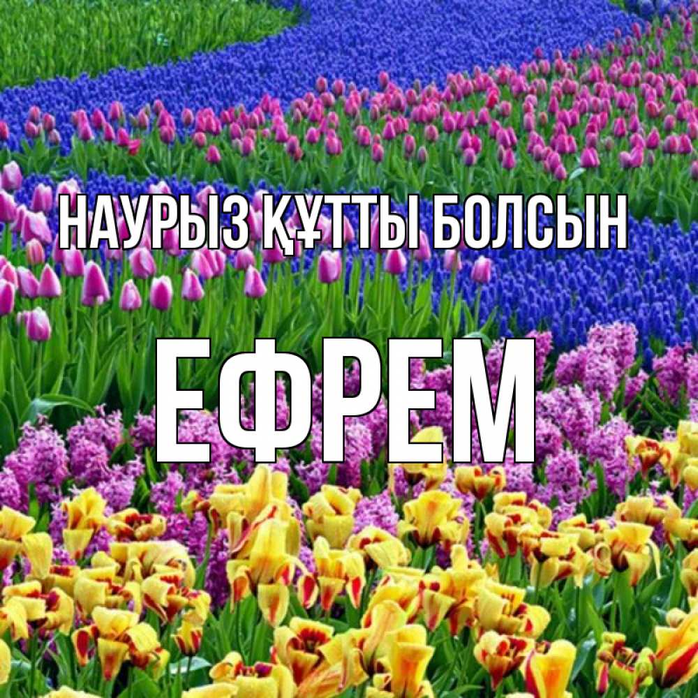Күн сайын ашық хат с именем, Ефрем Наурыз құтты болсын цветы Онлайн тегін жүктеп алу тілектері бар керемет карта 
