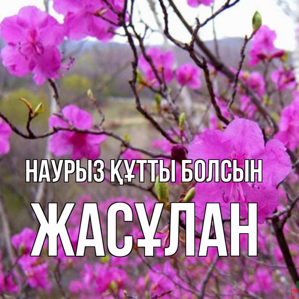 Күн сайын ашық хат с именем, Жасұлан Наурыз құтты болсын наурыз мейрамы кутты болсын Онлайн тегін жүктеп алу тілектері бар керемет карта 