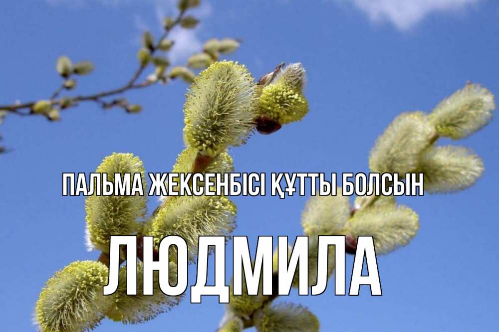 Күн сайын ашық хат с именем, Людмила Пальма жексенбісі құтты болсын верба Онлайн тегін жүктеп алу тілектері бар керемет карта 