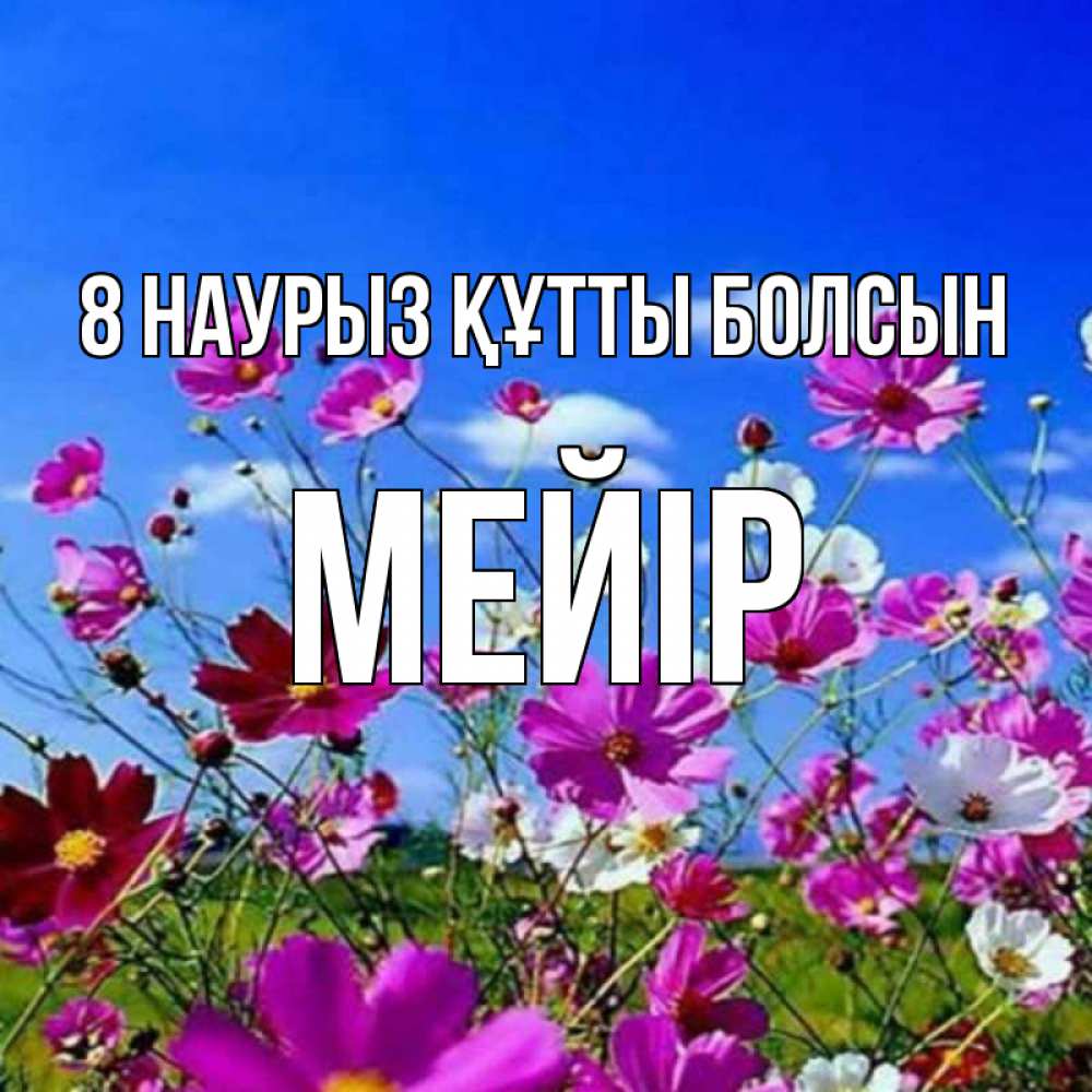 Күн сайын ашық хат с именем, МЕЙІР 8 наурыз құтты болсын цветы Онлайн тегін жүктеп алу тілектері бар керемет карта 