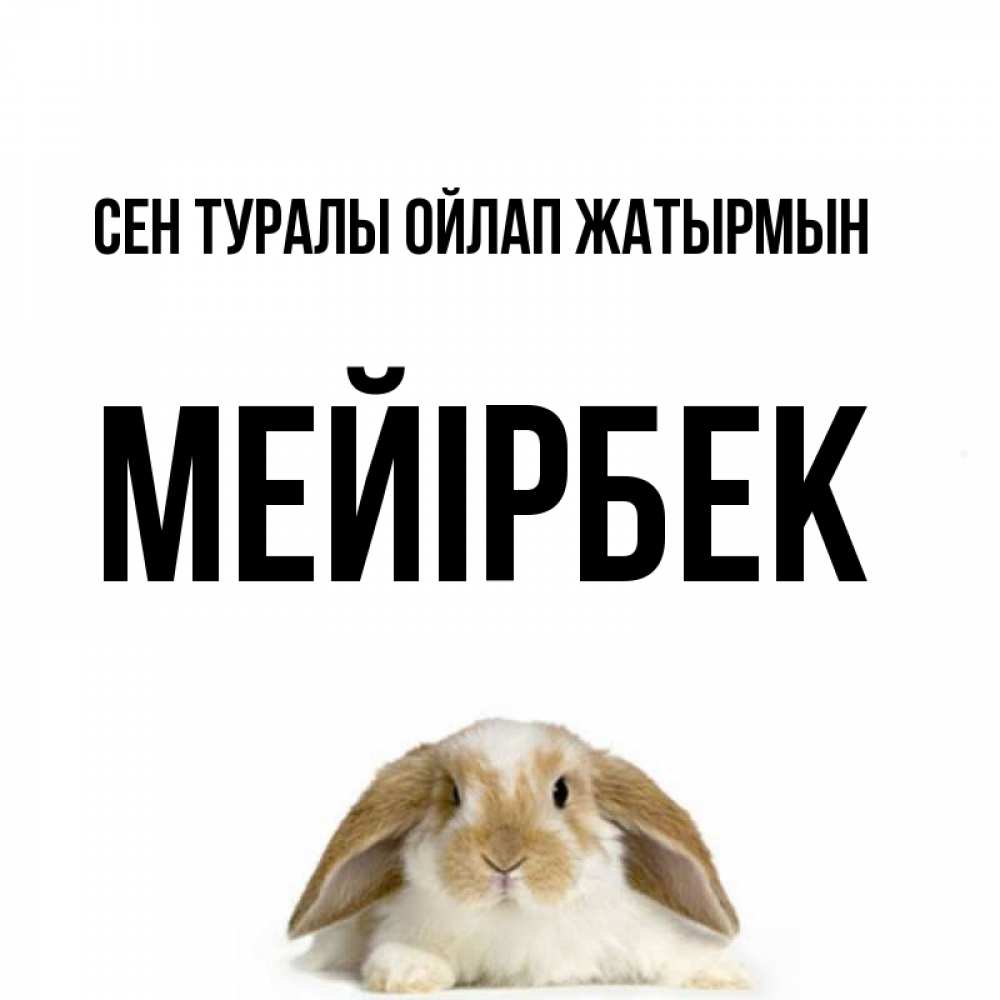 Күн сайын ашық хат с именем, МЕЙІРБЕК Сен туралы ойлап жатырмын подписать своими руками онлайн Онлайн тегін жүктеп алу тілектері бар керемет карта 