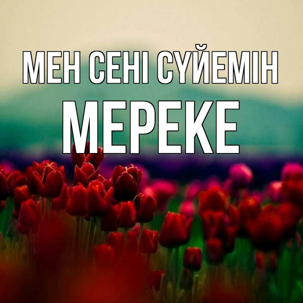 Күн сайын ашық хат с именем, МЕРЕКЕ Мен сені сүйемін тюльпаны 4 Онлайн тегін жүктеп алу тілектері бар керемет карта 