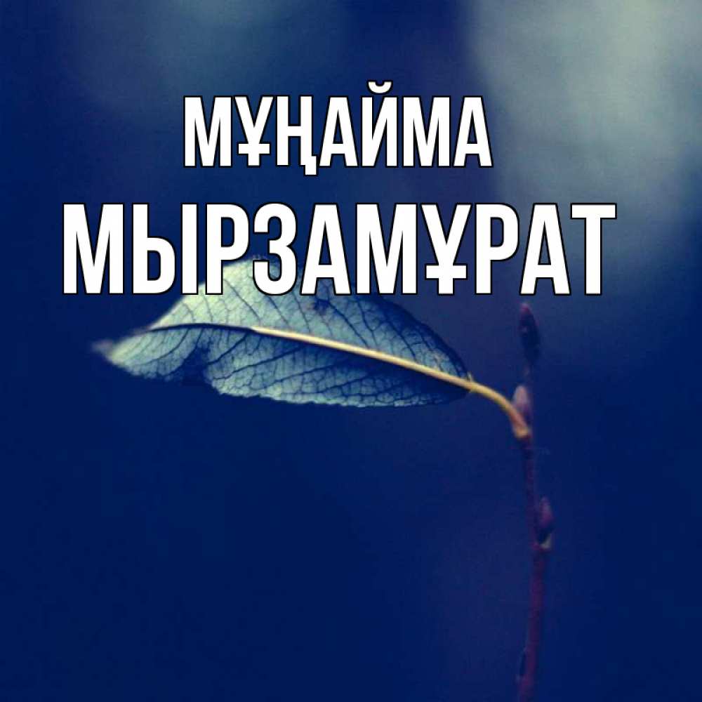 Күн сайын ашық хат с именем, Мырзамұрат Мұңайма растение Онлайн тегін жүктеп алу тілектері бар керемет карта 