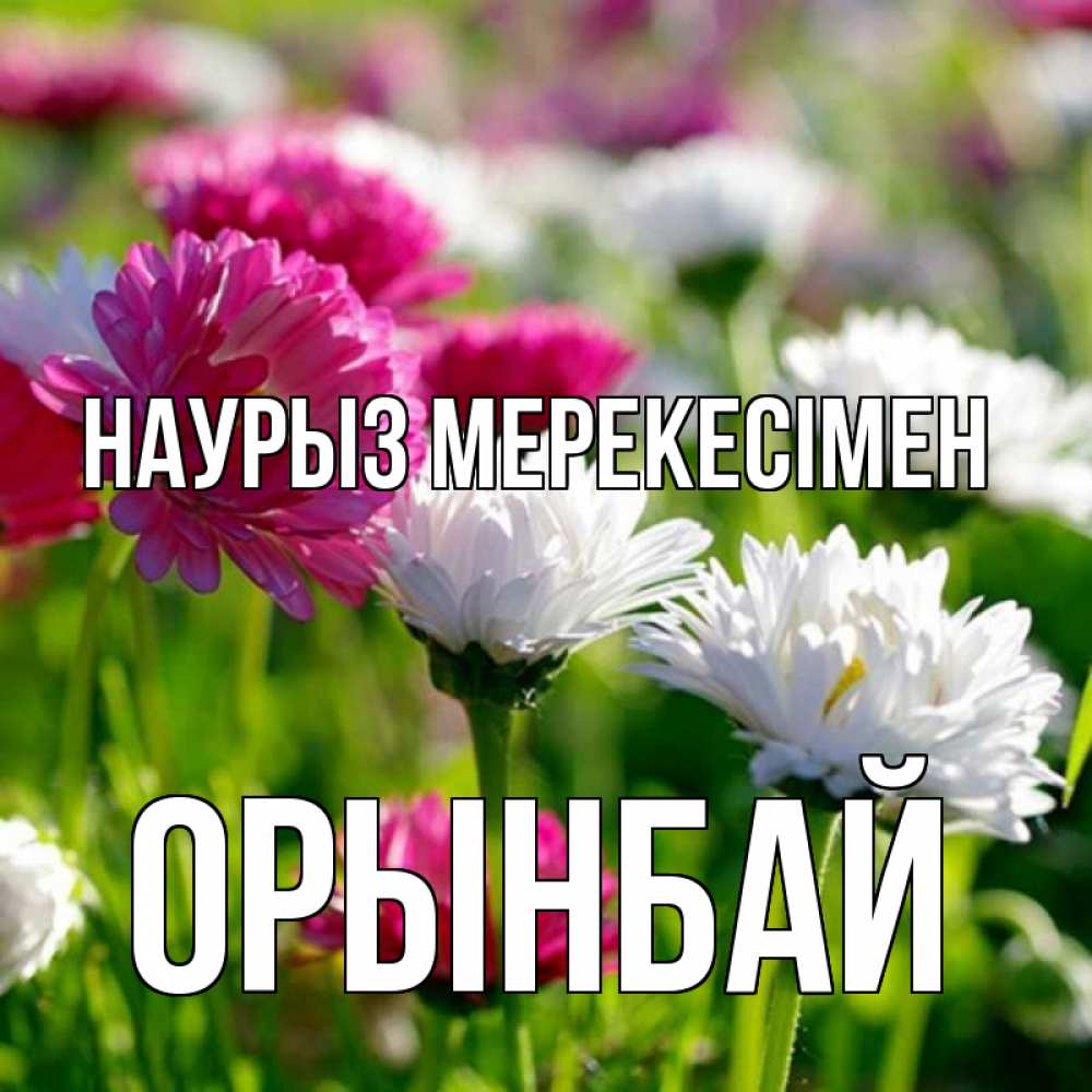 Күн сайын ашық хат с именем, ОРЫНБАЙ Наурыз мерекесімен праздник весны наурыз красота Онлайн тегін жүктеп алу тілектері бар керемет карта 