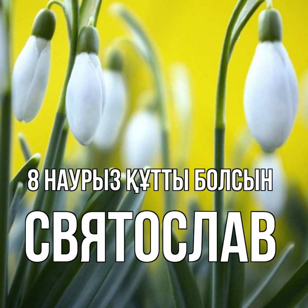 Күн сайын ашық хат с именем, Святослав 8 наурыз құтты болсын весенние цветы Онлайн тегін жүктеп алу тілектері бар керемет карта 