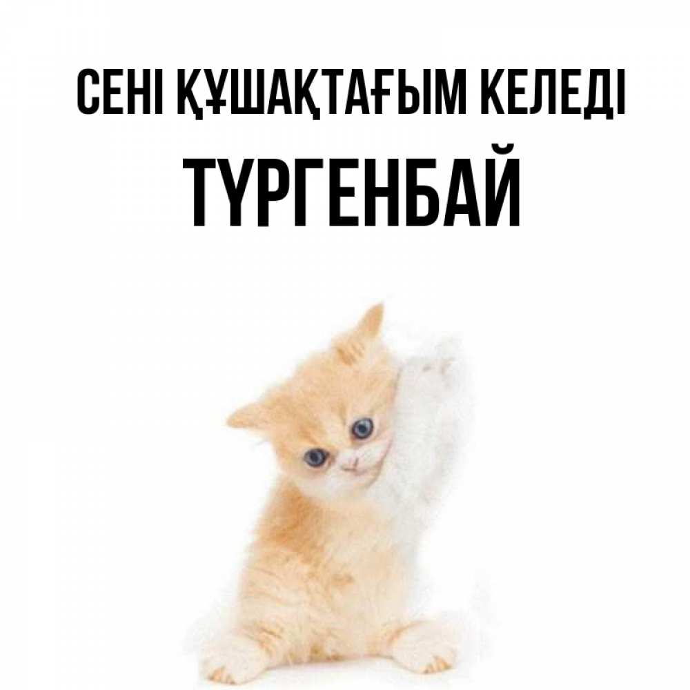 Күн сайын ашық хат с именем, ТҮРГЕНБАЙ сені құшақтағым келеді я хочу очень скорее обнимаешек Онлайн тегін жүктеп алу тілектері бар керемет карта 