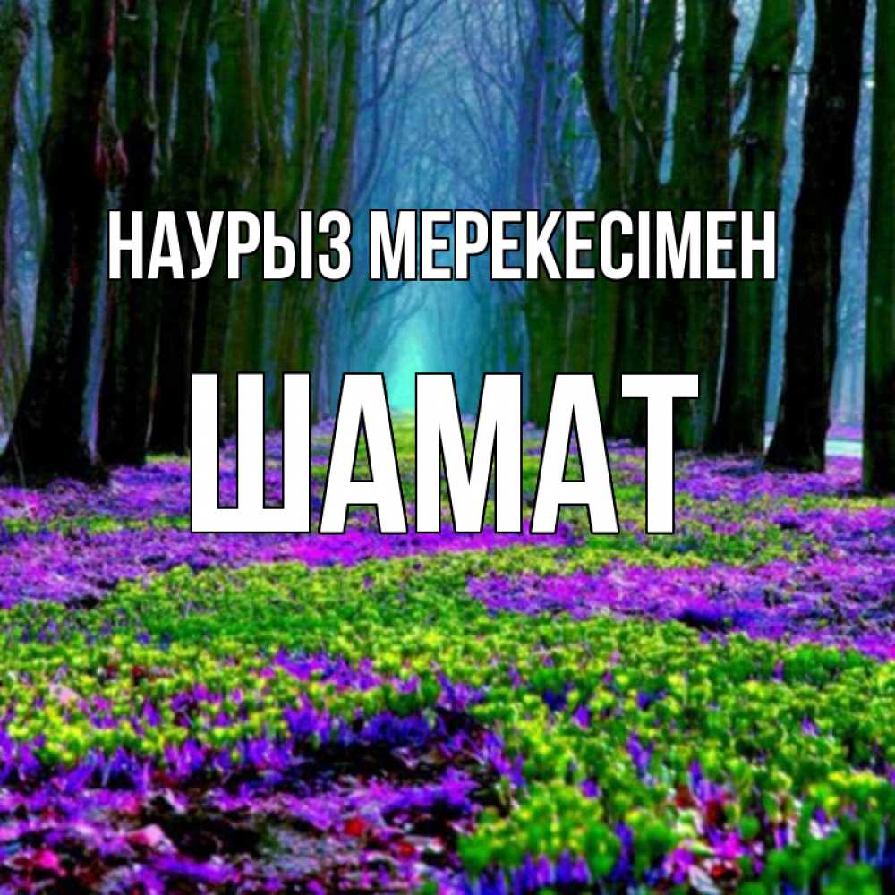 Күн сайын ашық хат с именем, ШАМАТ Наурыз мерекесімен фиолетовые цветы в лесу 1 Онлайн тегін жүктеп алу тілектері бар керемет карта 
