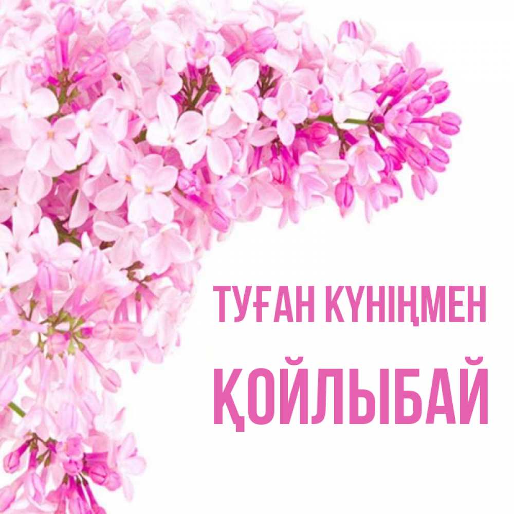 Күн сайын ашық хат с именем, Қойлыбай Туған күніңмен Сирень на белом фоне Онлайн тегін жүктеп алу тілектері бар керемет карта 
