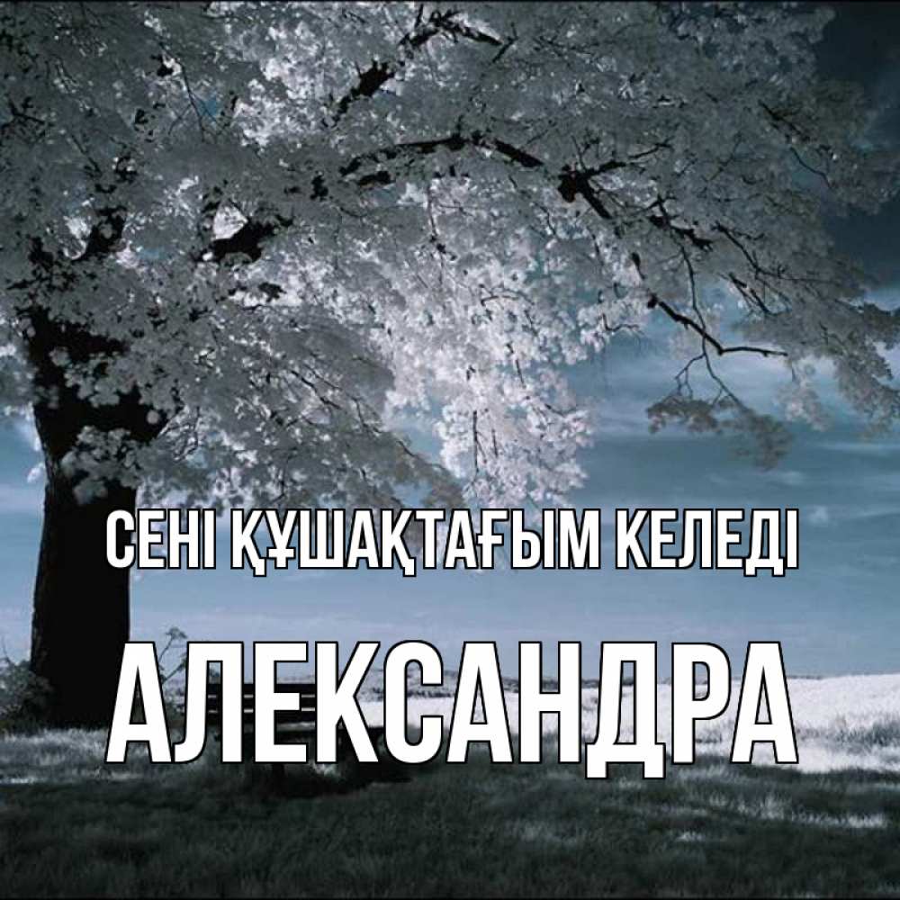 Күн сайын ашық хат с именем, Александра сені құшақтағым келеді дерево Онлайн тегін жүктеп алу тілектері бар керемет карта 