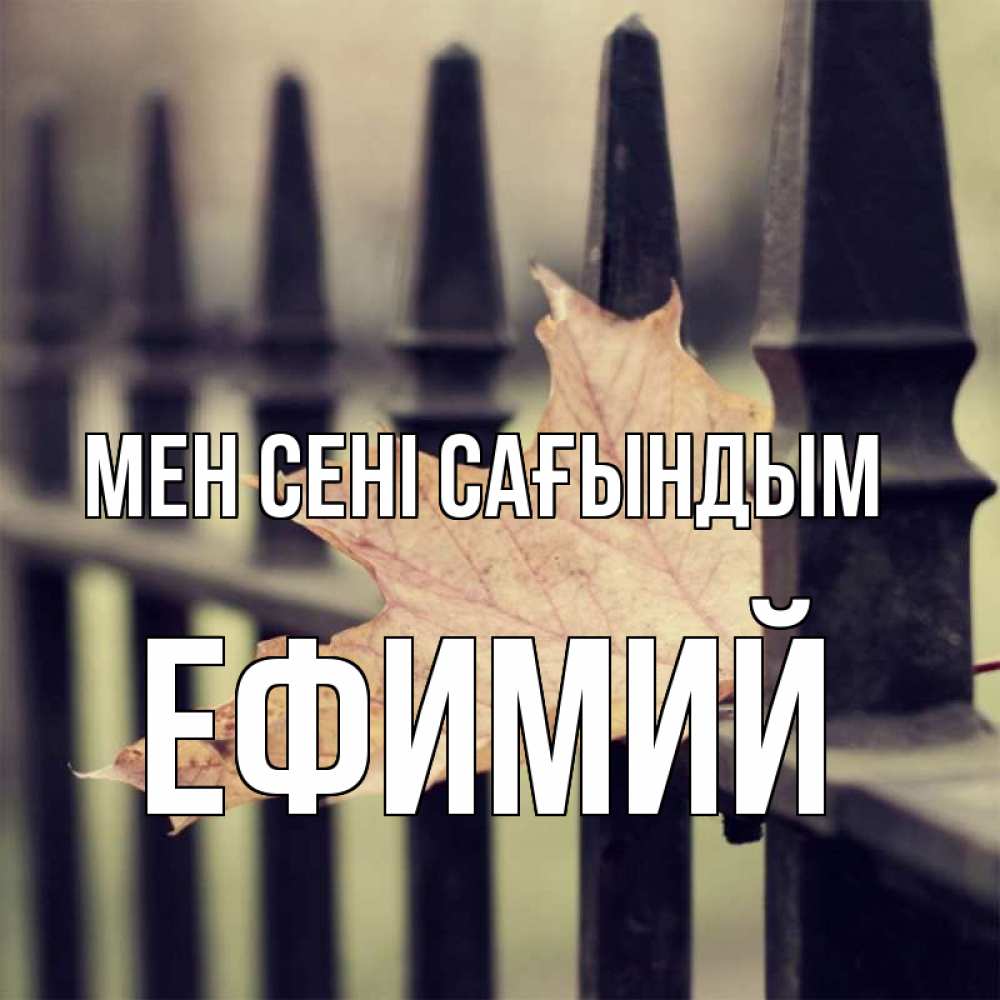 Күн сайын ашық хат с именем, Ефимий Мен сені сағындым очень скучно Онлайн тегін жүктеп алу тілектері бар керемет карта 