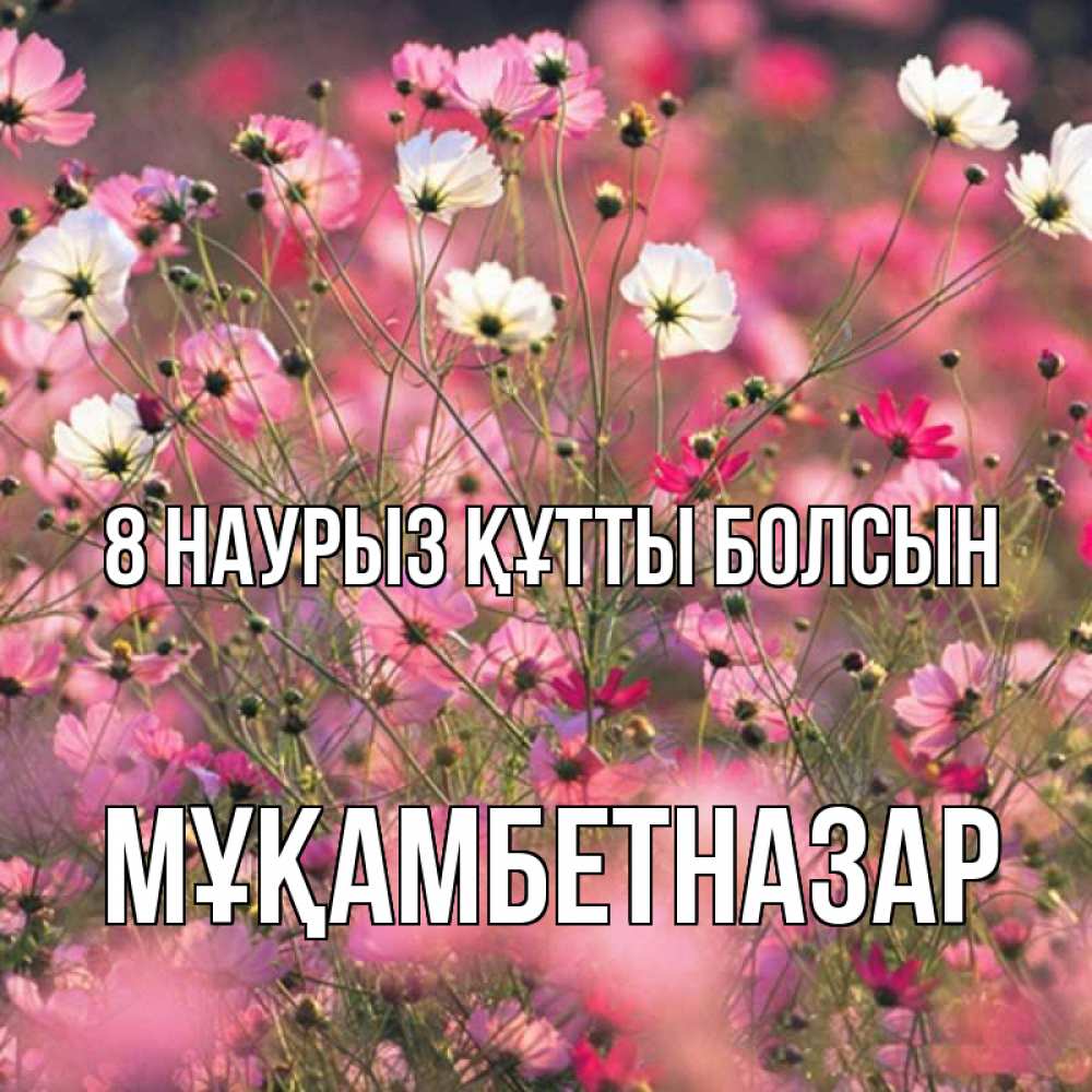 Күн сайын ашық хат с именем, Мұқамбетназар 8 наурыз құтты болсын красиво 1 Онлайн тегін жүктеп алу тілектері бар керемет карта 