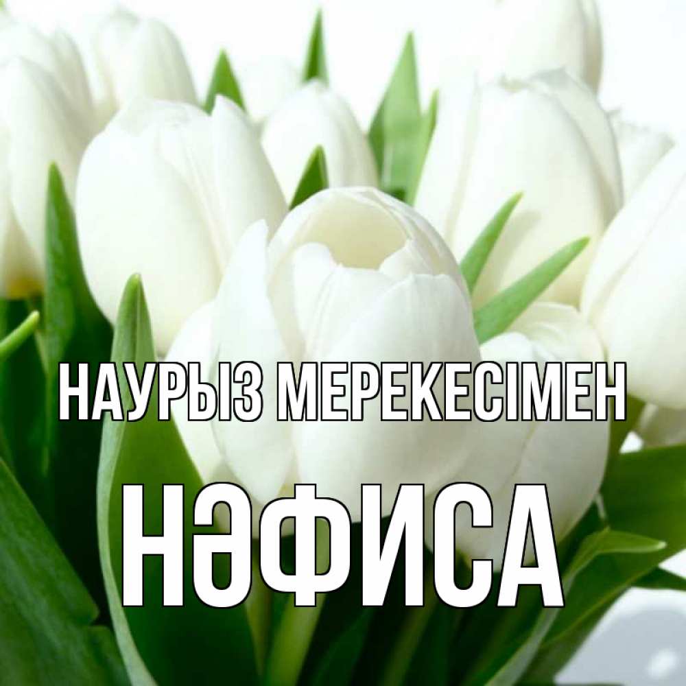 Күн сайын ашық хат с именем, НӘФИСА Наурыз мерекесімен цветы Онлайн тегін жүктеп алу тілектері бар керемет карта 