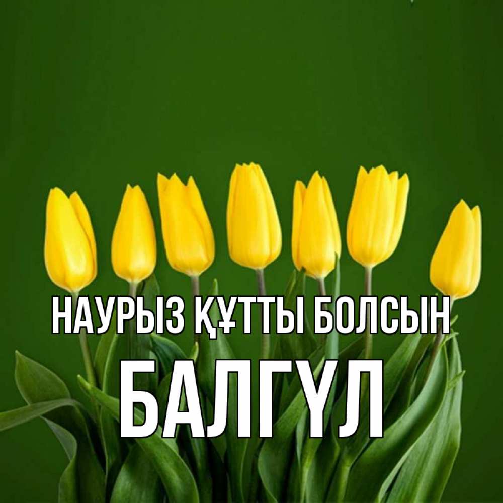 Күн сайын ашық хат с именем, БАЛГҮЛ Наурыз құтты болсын желтого цвета 3 Онлайн тегін жүктеп алу тілектері бар керемет карта 