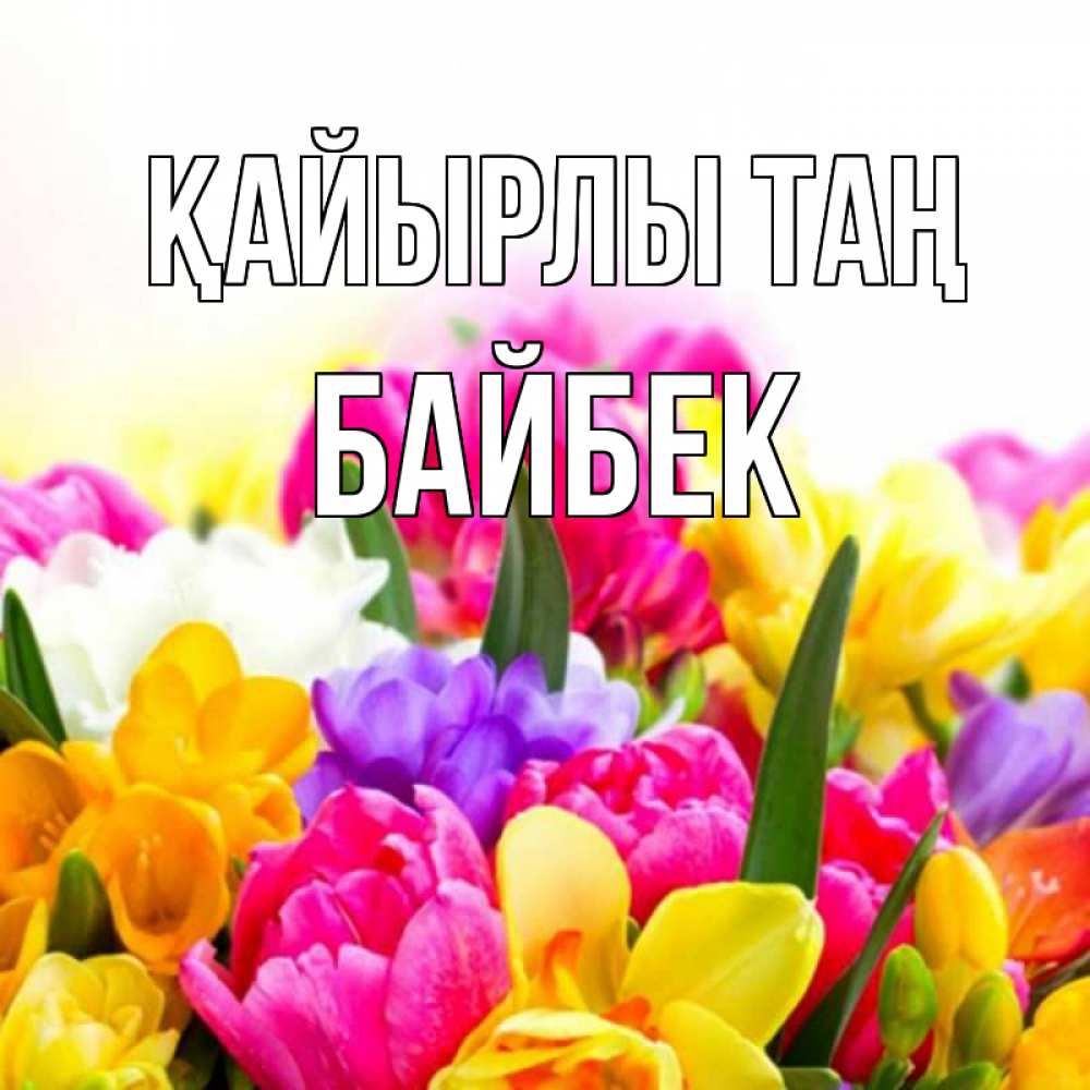 Күн сайын ашық хат с именем, Байбек Қайырлы таң создать открытку со свое подписью Онлайн тегін жүктеп алу тілектері бар керемет карта 