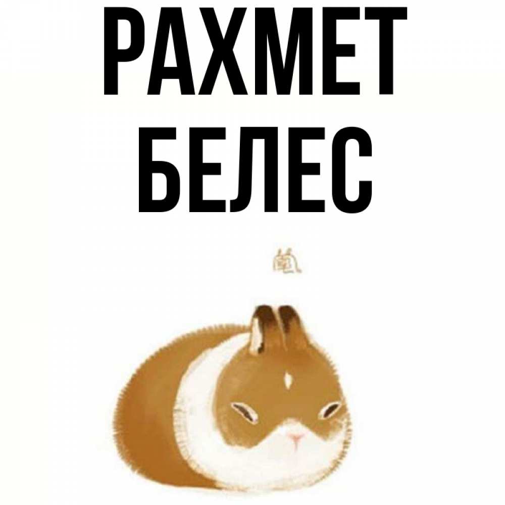 Күн сайын ашық хат с именем, Белес рахмет коричнево белый домашний питомец Онлайн тегін жүктеп алу тілектері бар керемет карта 