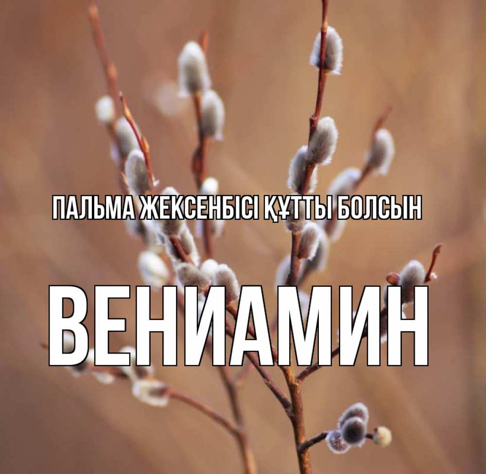 Күн сайын ашық хат с именем, Вениамин Пальма жексенбісі құтты болсын верба Онлайн тегін жүктеп алу тілектері бар керемет карта 