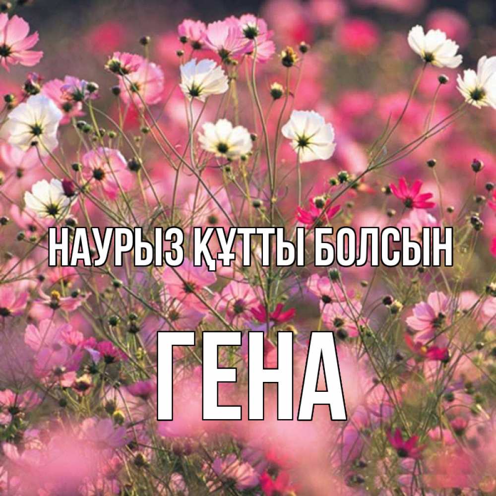 Күн сайын ашық хат с именем, Гена Наурыз құтты болсын красиво 1 Онлайн тегін жүктеп алу тілектері бар керемет карта 