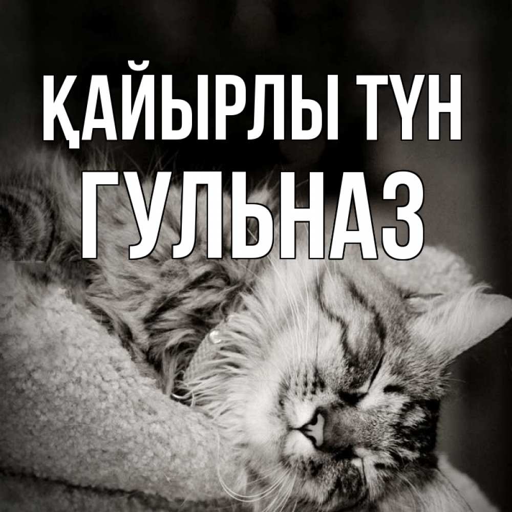 Күн сайын ашық хат с именем, Гульназ Қайырлы түн котярик пушистый Онлайн тегін жүктеп алу тілектері бар керемет карта 