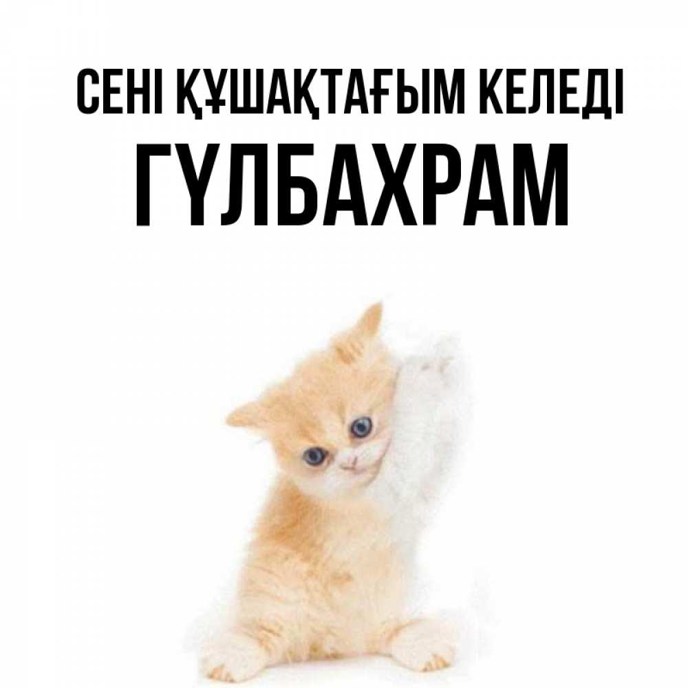 Күн сайын ашық хат с именем, ГҮЛБАХРАМ сені құшақтағым келеді я хочу очень скорее обнимаешек Онлайн тегін жүктеп алу тілектері бар керемет карта 