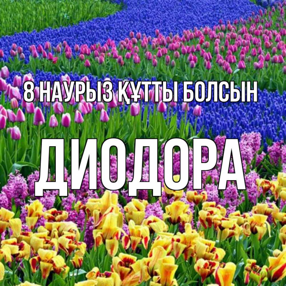 Күн сайын ашық хат с именем, Диодора 8 наурыз құтты болсын цветы Онлайн тегін жүктеп алу тілектері бар керемет карта 