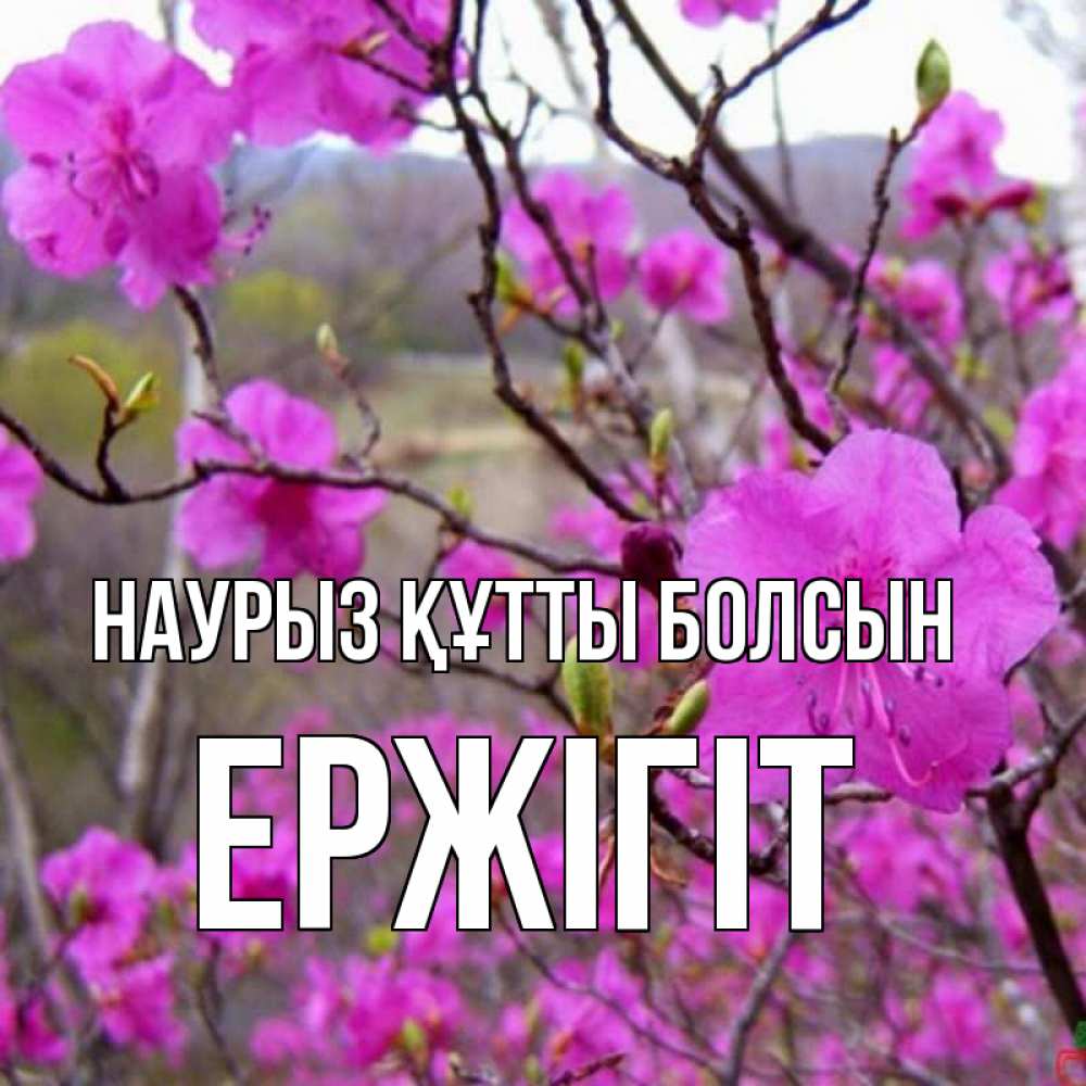 Күн сайын ашық хат с именем, Ержігіт Наурыз құтты болсын наурыз мейрамы кутты болсын Онлайн тегін жүктеп алу тілектері бар керемет карта 