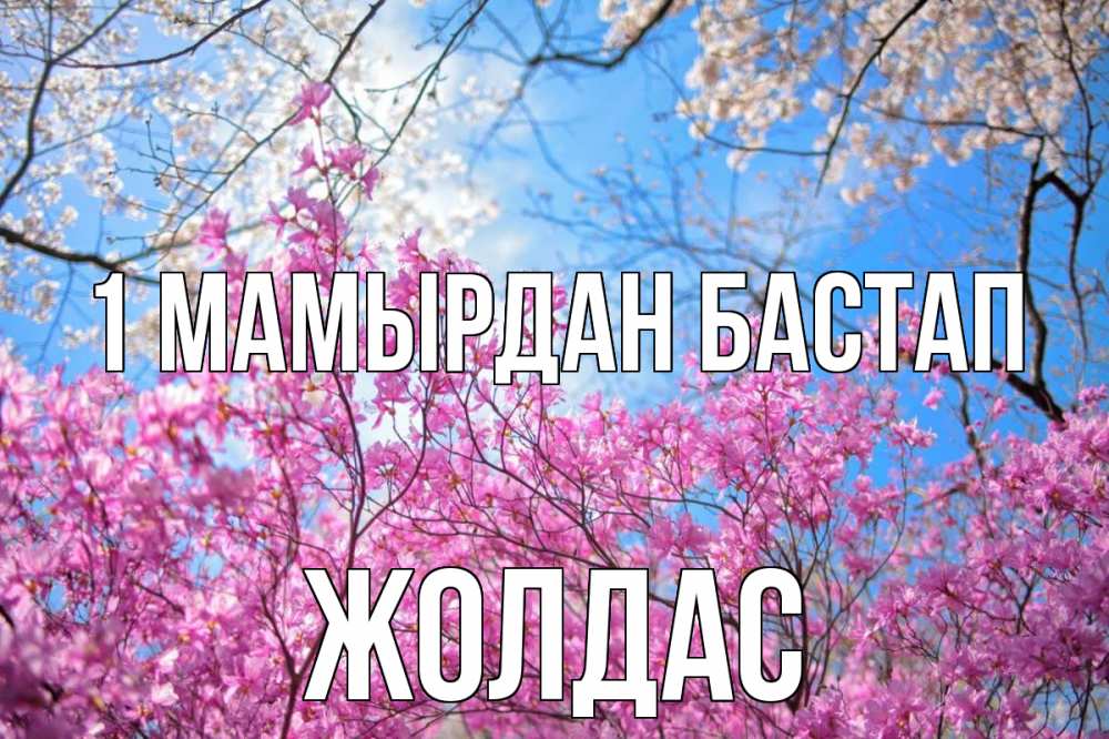 Күн сайын ашық хат с именем, Жолдас 1 мамырдан бастап С 1 мая Онлайн тегін жүктеп алу тілектері бар керемет карта 