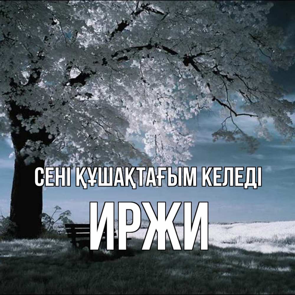 Күн сайын ашық хат с именем, Иржи сені құшақтағым келеді дерево Онлайн тегін жүктеп алу тілектері бар керемет карта 