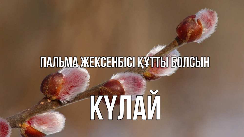 Күн сайын ашық хат с именем, КҮЛАЙ Пальма жексенбісі құтты болсын верба Онлайн тегін жүктеп алу тілектері бар керемет карта 