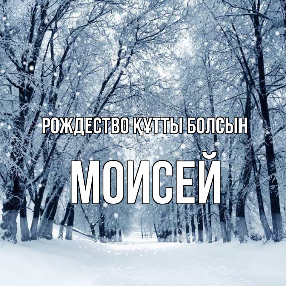 Күн сайын ашық хат с именем, Моисей Рождество құтты болсын снег, лес, парк Онлайн тегін жүктеп алу тілектері бар керемет карта 