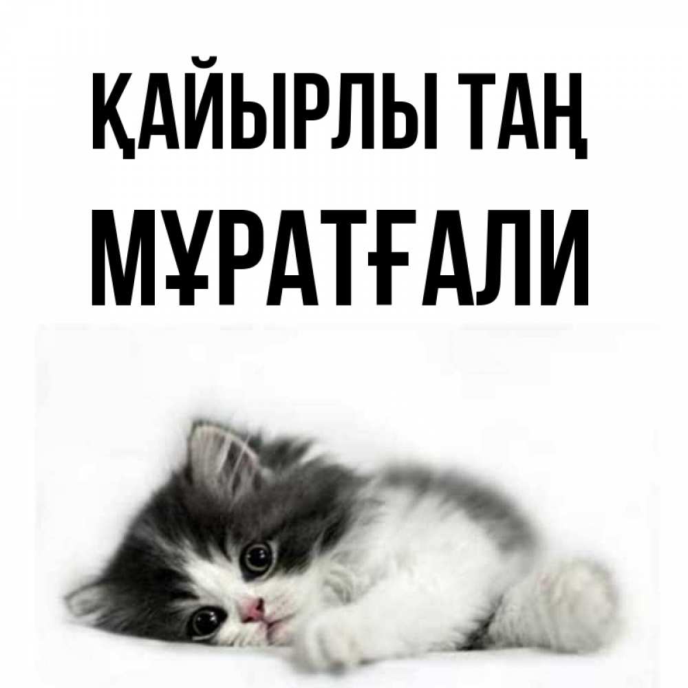 Күн сайын ашық хат с именем, Мұратғали Қайырлы таң кот лапки Онлайн тегін жүктеп алу тілектері бар керемет карта 