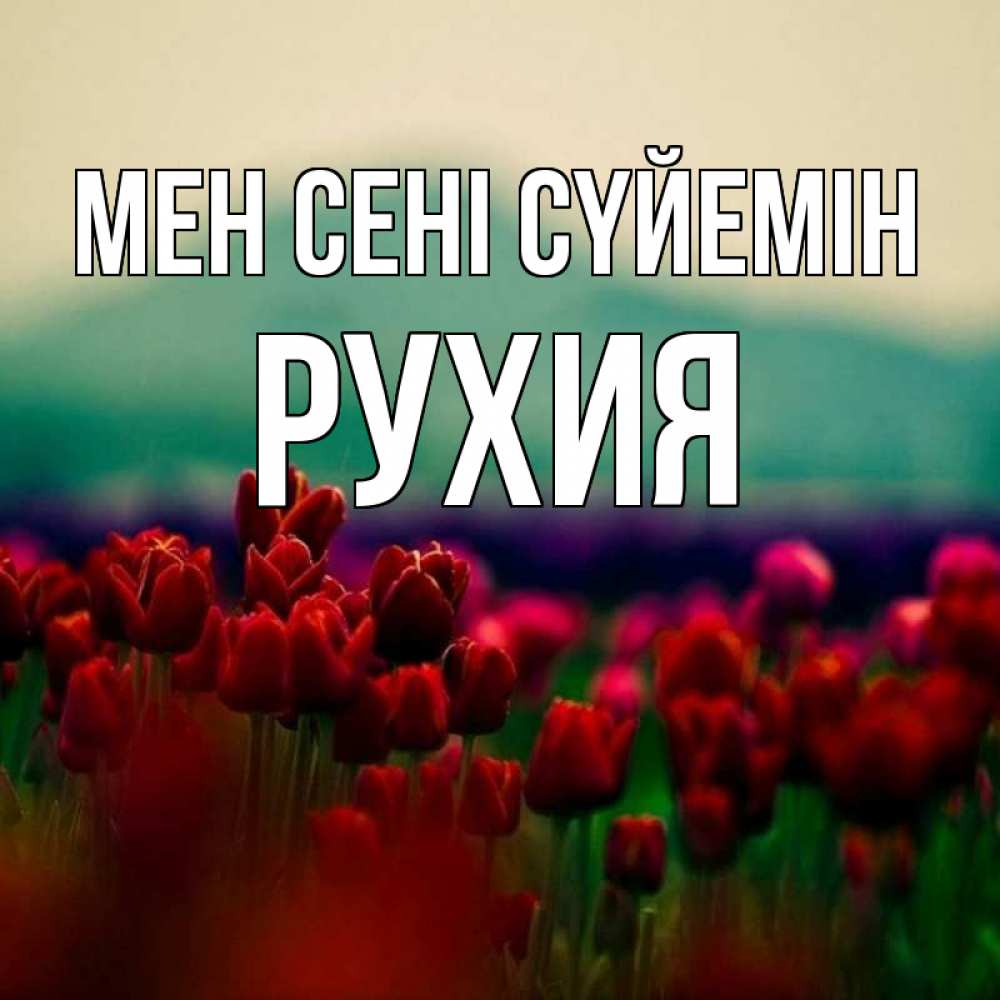 Күн сайын ашық хат с именем, РУХИЯ Мен сені сүйемін тюльпаны 4 Онлайн тегін жүктеп алу тілектері бар керемет карта 