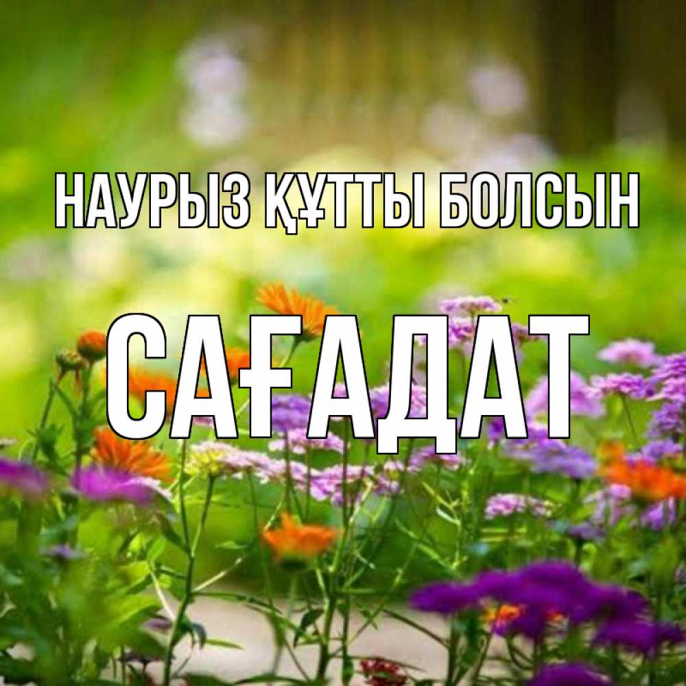 Күн сайын ашық хат с именем, САҒАДАТ Наурыз құтты болсын цветы Онлайн тегін жүктеп алу тілектері бар керемет карта 