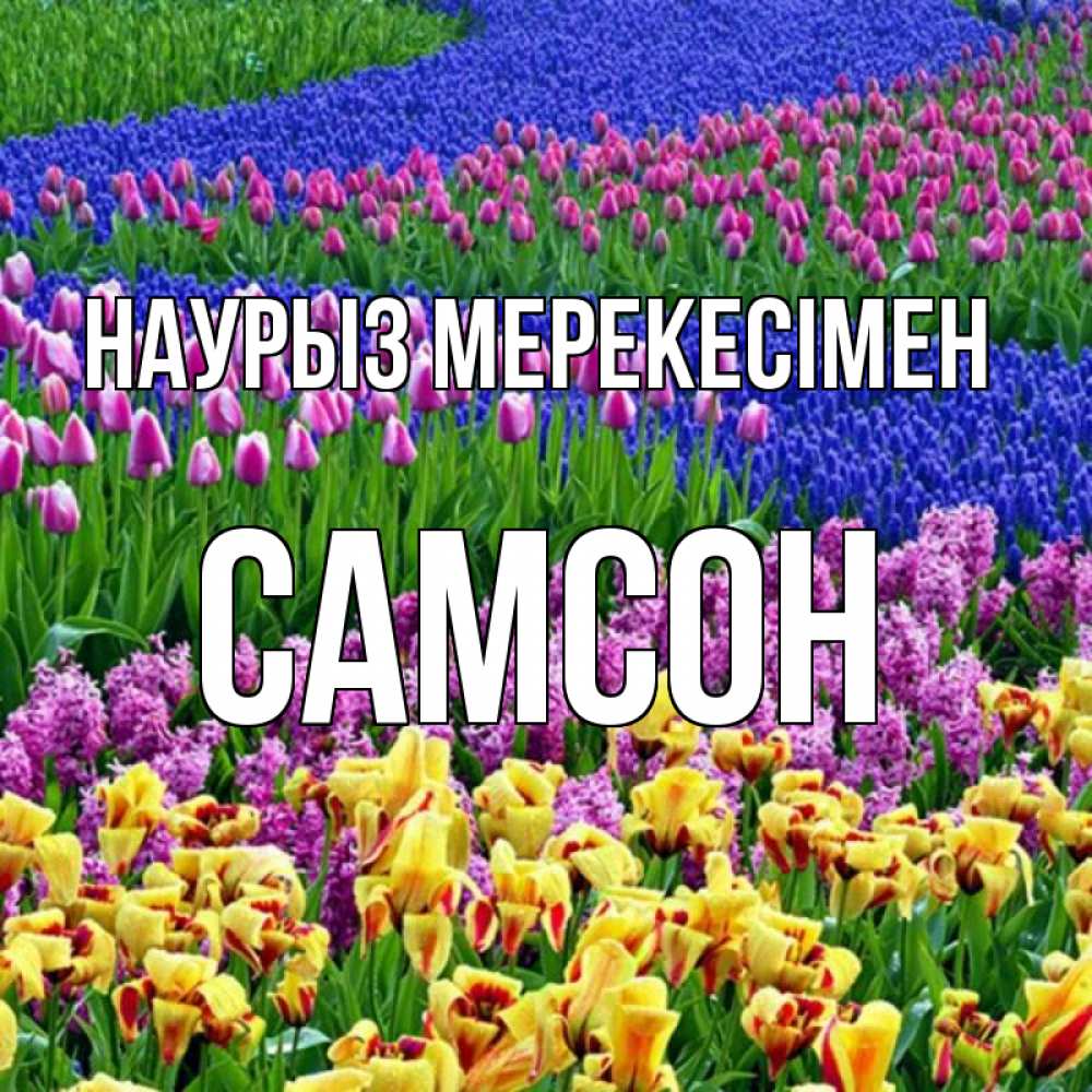 Күн сайын ашық хат с именем, Самсон Наурыз мерекесімен цветы Онлайн тегін жүктеп алу тілектері бар керемет карта 