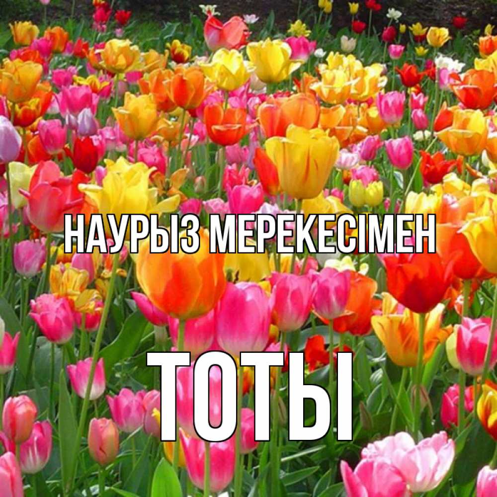 Күн сайын ашық хат с именем, ТОТЫ Наурыз мерекесімен праздник весны наурыз 4 Онлайн тегін жүктеп алу тілектері бар керемет карта 