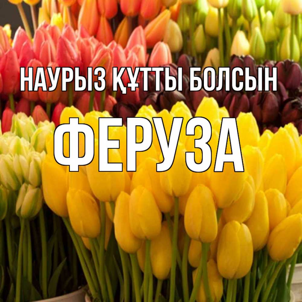 Күн сайын ашық хат с именем, Феруза Наурыз құтты болсын цветы Онлайн тегін жүктеп алу тілектері бар керемет карта 