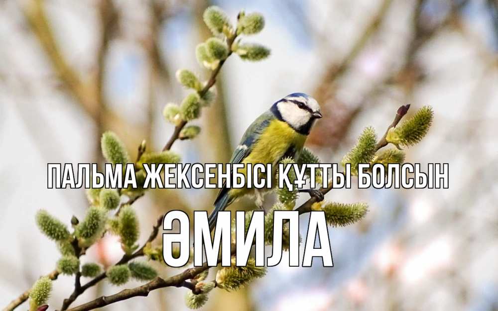 Күн сайын ашық хат с именем, ӘМИЛА Пальма жексенбісі құтты болсын верба Онлайн тегін жүктеп алу тілектері бар керемет карта 